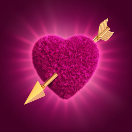 3d furry Valentines day pink heart pierced with gold arrowの写真素材