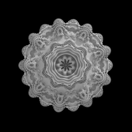 fractal flower, abstract 3d background, rosette isolated on blackの写真素材