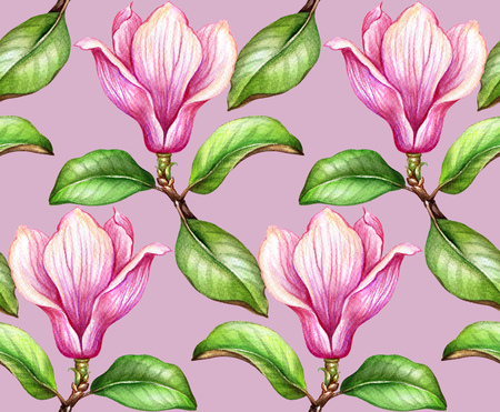 seamless pattern, watercolor botanical illustration, magnolia flowers, green leaves, spring nature, floral background, blooming wallpaperの写真素材