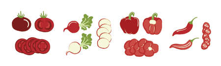 Set of cut vegetables, cute drawings, red pieces of tomato, radish, pepperのイラスト素材
