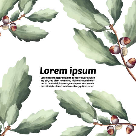 Green oak leaves and acorns. Oak crown. California red oak branch. A branch of a deciduous tree.のイラスト素材