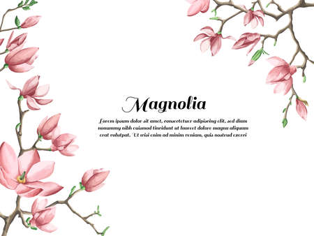 Floral wedding invitation card template design, pink Anise magnolia flowers on grey and white, pastel vintage themeのイラスト素材