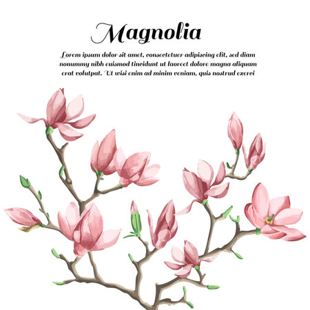 Floral wedding invitation card template design, pink Anise magnolia flowers on grey and white, pastel vintage themeのイラスト素材