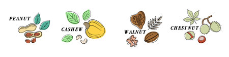 Nuts color line icons set. Nuts are the hard-shelled fruit of certain plants. Cashew, chestnut, hazelnut, almond, walnut, peanut, pistachios. Pumpkin, sunflower, flax seeds.Vector illustration in cartoon flat style. Editable stroke.のイラスト素材