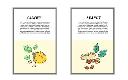 Set of cards (banners, tags, package) with hand DRAW nuts - hazelnut, almond, pistachio, cashew, walnut, peanut, pine nuts. Modern vector illustration isolated on white background.のイラスト素材