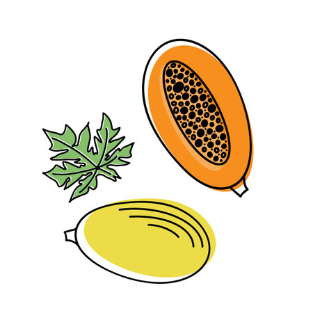 Passion fruit set. Whole tropical fruits, half, peeled and green leaves isolated on white background. Vector illustration in cartoon style. Flat design.のイラスト素材