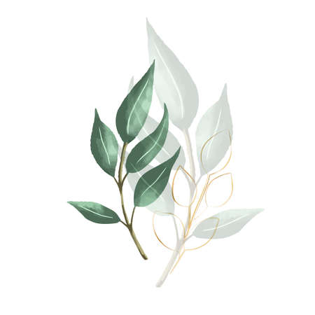 Set of botanic and wild leaves in watercolor painting. Design for frame hanging, poster, and card.のイラスト素材