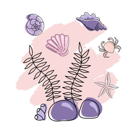 Collection of hand drawn sea shells and stars flat style. Marine shellfish illustration. Colorful seashells isolated on a light background.のイラスト素材