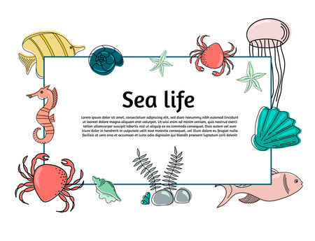 Card with Colorful Fishes. Vector Illustration. Greeting Card Design for Sea Life Illustrations.のイラスト素材