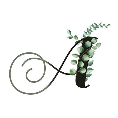 Vector illustration with eucalyptus leaves. Floral alphabet.のイラスト素材