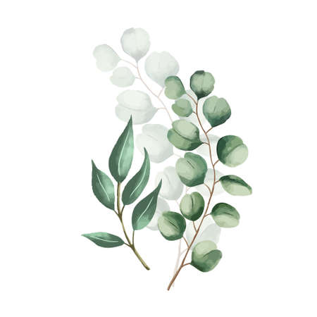 Set of botanic and wild leaves in watercolor painting. Design for frame hanging, poster, and card.のイラスト素材