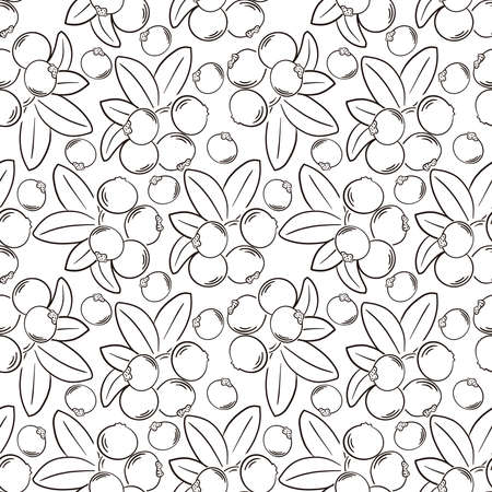 Cranberry isolated on white background. Branch with red berries and green leaves.のイラスト素材