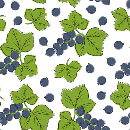 Red Ribes. Black currant. Red currants on a branch.のイラスト素材