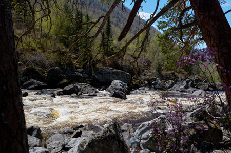 rapid streams of the Chulcha River from the Uchar waterfall, Altai Republic, Russia