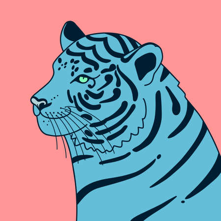 New Year's illustration of a blue tiger on a pink background. The Water Tiger is the symbol of the Chinese New Year 2022. It is suitable for use for postcards, gifts, websites, social media.のイラスト素材