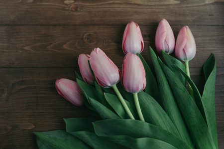 Pink tulips on a wooden backgroundの写真素材