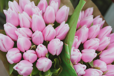 Street flower market. Pink tulips.の写真素材