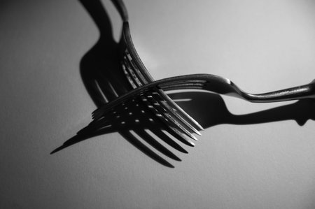 forks black and white with shadows