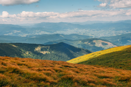Carpathian mountains in summer, Ukraine