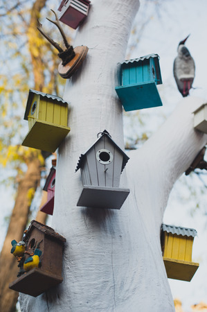 birdhouse in a white treeの写真素材