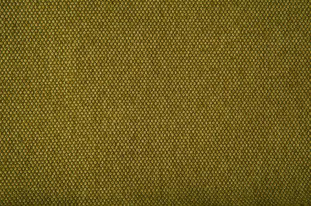 fabric texture green gobelin for backgroundの写真素材