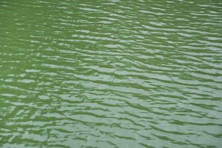 Green lake water backgroundの写真素材