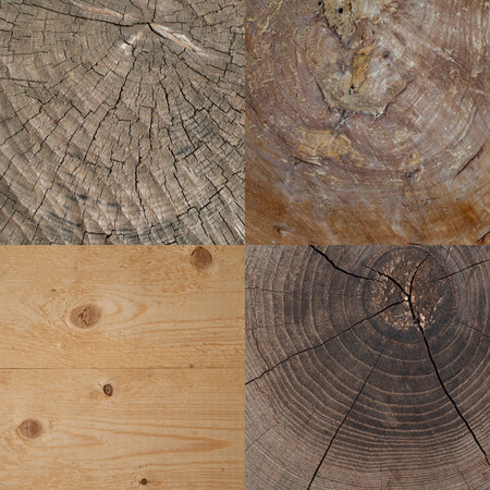 Set of wooden texture. Dry stump backgroundの写真素材