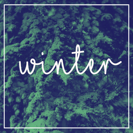 Text Winter on the background of snowy trees. Duotone effect - blue and green colorの写真素材