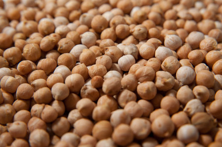 Chickpeas macro background. Turkish or garbanzo beans - healthy vegan food. Superfood with different vitamins for health and longevity.の写真素材