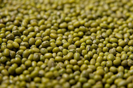 Mung beans background -superfood, healthy food. Macro photoの写真素材