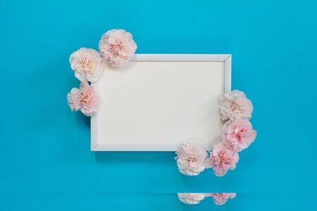 Flat lay - white blank frame with pink carnations on a blue background. Copy space, mock up. Spring...