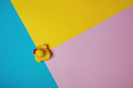 Yellow rubber duck on blue, pink and yellow background. Bath concept. Copy space, flat lay.の写真素材