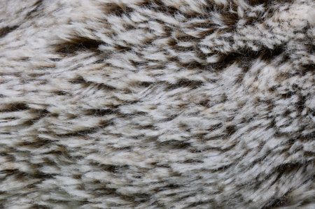 Fluffy soft artificial white fur fabric with fibersの写真素材