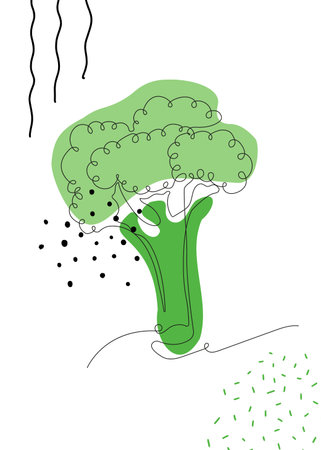 Continuous one line drawing broccoli. Black line art on white background with colorful spots and elements. Poster in minimalism concept. vector illustration.のイラスト素材