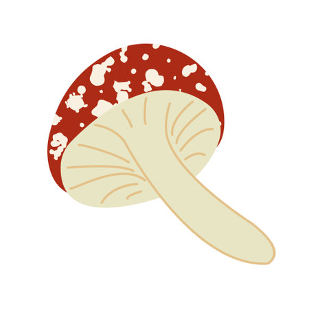 Mushrooms or fly agaric vector illustration. Autumn harvest, poisonous mushroom isolated on white background. Harvest concept. Cozy autumn concept. Flat style.のイラスト素材