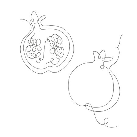 Pomegranate in continuous line art drawing style. Two Pomegranates minimalist black linear sketch isolated on white background. Vector illustrationのイラスト素材