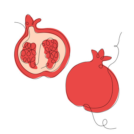 Pomegranate in continuous line art drawing style. Half pomegranate and whole pomegranate minimalist black linear sketch with colored spots isolated on white background. Vector illustration.のイラスト素材