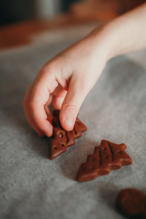 A child's hand places ginger cookies on a baking paper. The cookies are shaped like a Christmas...