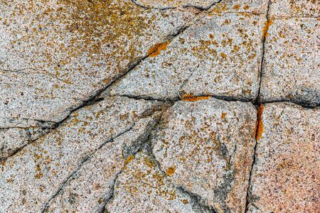 Texture closeup of natural cracks in granite rock at Acadia National Park, USAの写真素材