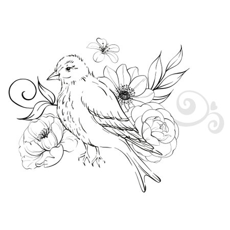 Victorian bird and roses, border. Vintage flowers, botanical arrangement. Romantic anemone and peonyのイラスト素材