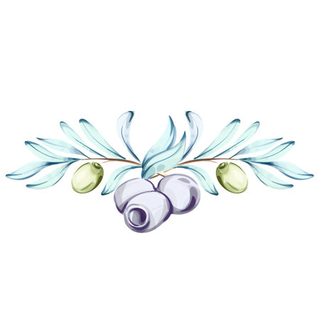 Exploring the beauty of olives and olive oil through watercolor illustrations inspired by Italianのイラスト素材