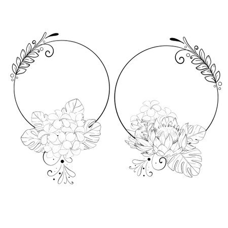 Vector tropical set - circle frames with proteas, monstera leaves, and plumerias flowers. Freehandのイラスト素材