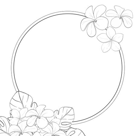 Vector tropical circle frame, template with monstera leaves, and plumerias flowers. Freehand drawingのイラスト素材
