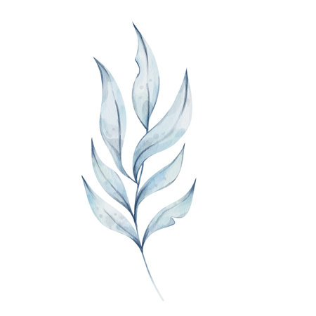 Watercolor blue leaf. Vintage branch, plant element isolated on white. Botanical illustrationのイラスト素材