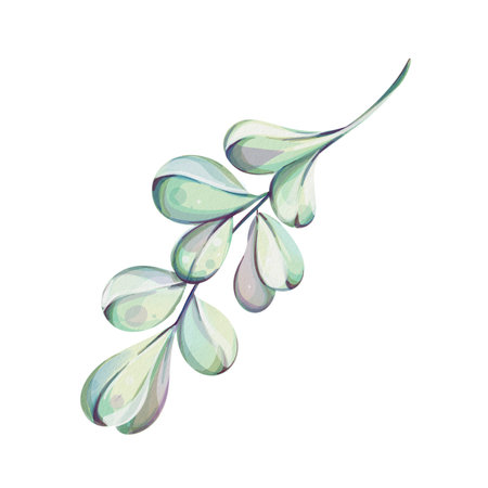 Watercolor Decorative hand drawn mistletoe, design element. Can be used for cards, invitationsのイラスト素材
