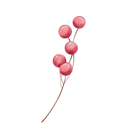 Watercolor red berries, currant berries on branch without leaves illustration, seasons isolatedのイラスト素材