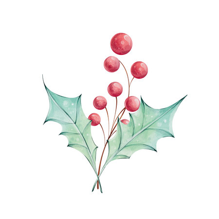 Christmas watercolor bouquet with holly green leaves and red berries. Winter composition, decor inのイラスト素材