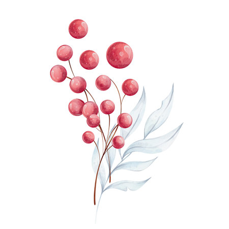 Christmas watercolor bouquet with holly blue leaves and red berries. Elegant decor. Winterのイラスト素材