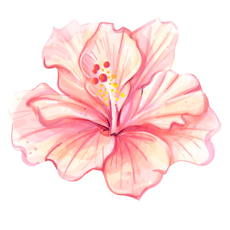 Watercolor Bright red flower Hibiskus on white background. Tropicalのイラスト素材