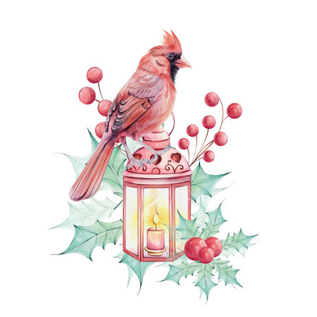 Watercolor Christmas bird red cardinal, berries, lantern, poinsettia flowers bouquet with hollyのイラスト素材